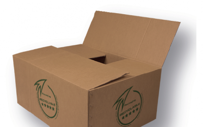 DríadeSM en Ballena Blanca